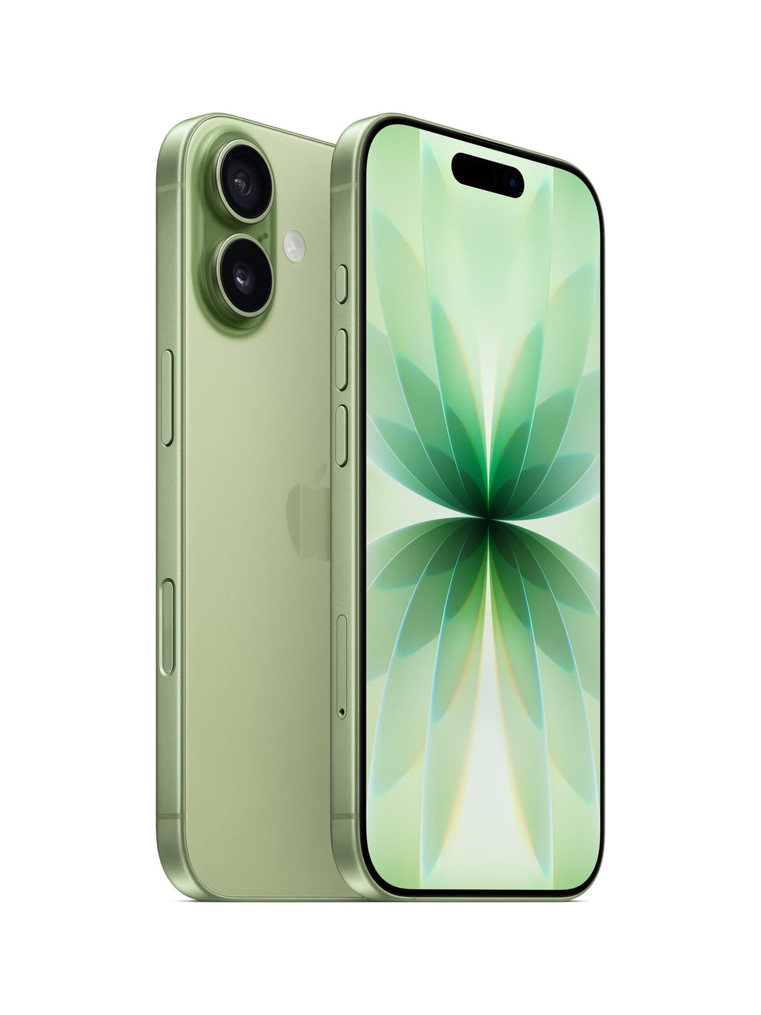 Apple iPhone Sage / 256GB Apple iPhone 17 - Fair